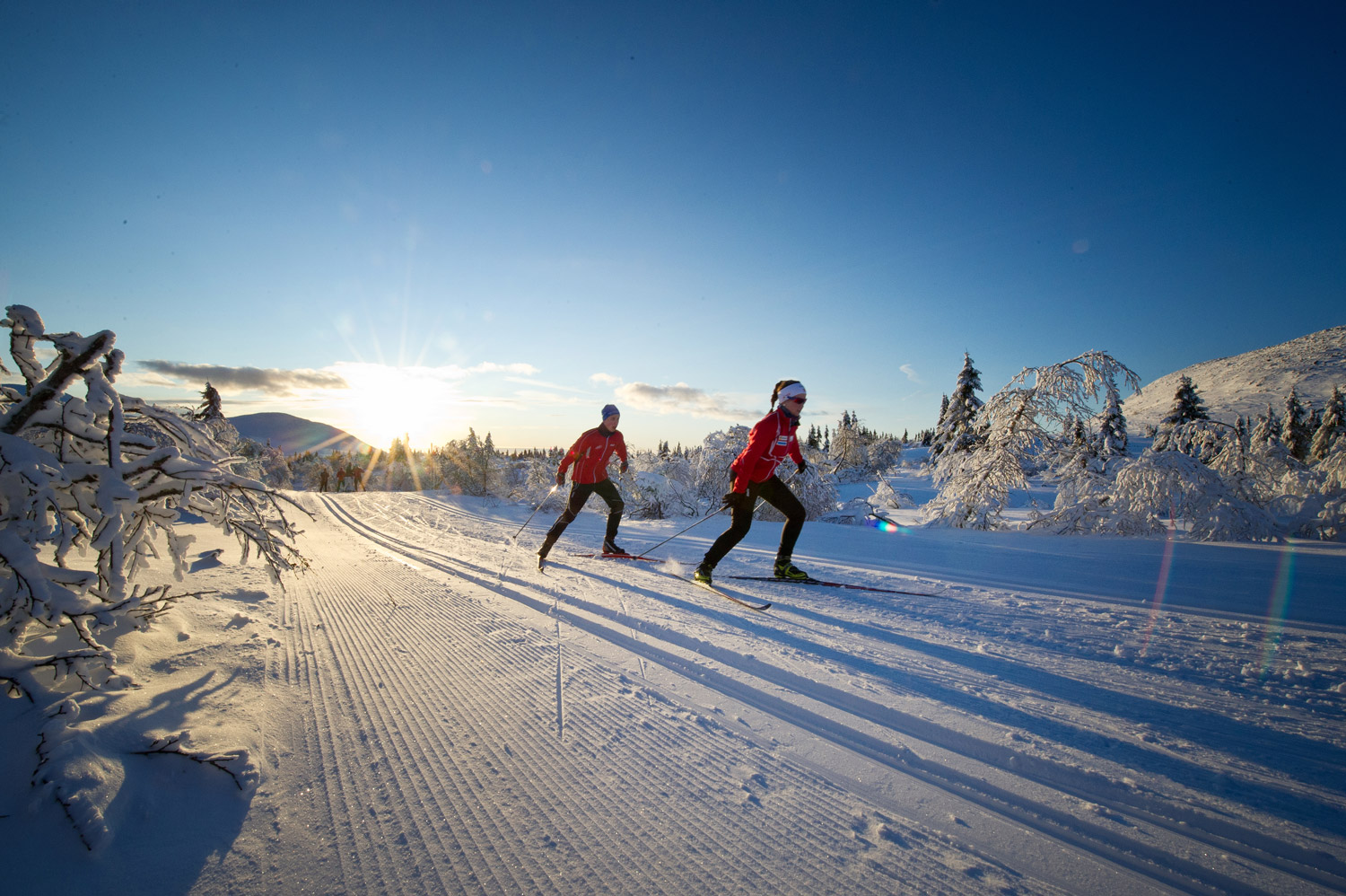 Langrenn-Trysil-fotograf-Ola-Matsson